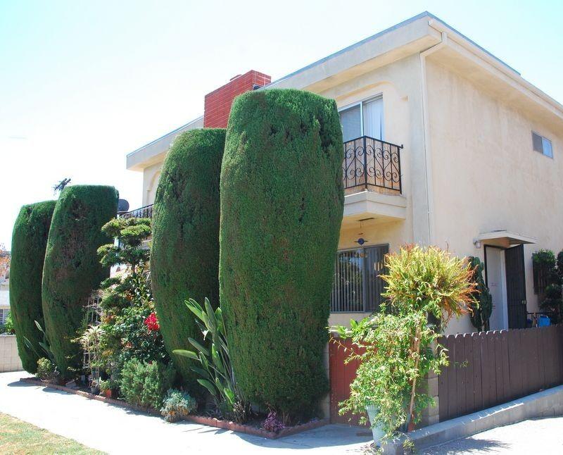 property for rent #1