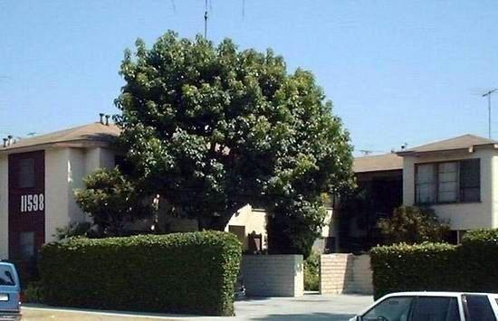property for rent #1