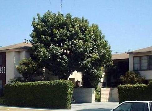 property for rent #3
